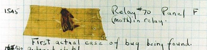 A photo of the page from the logbook in which a moth can be seen taped to the page.