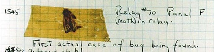A photo of the page from the logbook in which a moth can be seen taped to the page.