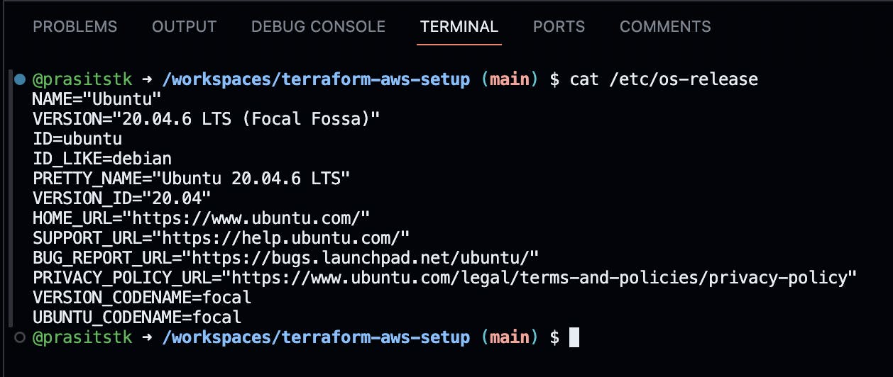 Show OS release on Terminal tab of the Codespace UI.