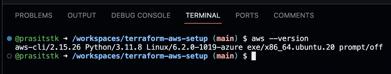 Show AWS CLI version on Terminal tab of the Codespace UI.