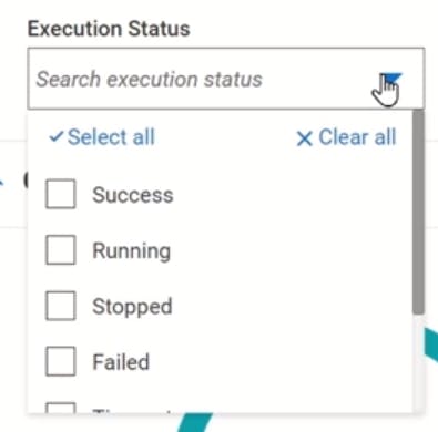 Execution Status