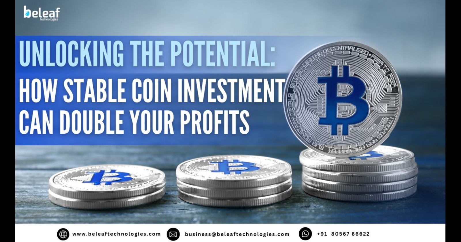 Unlocking the Potential: How StableCoin Investment Can Double Your Profits