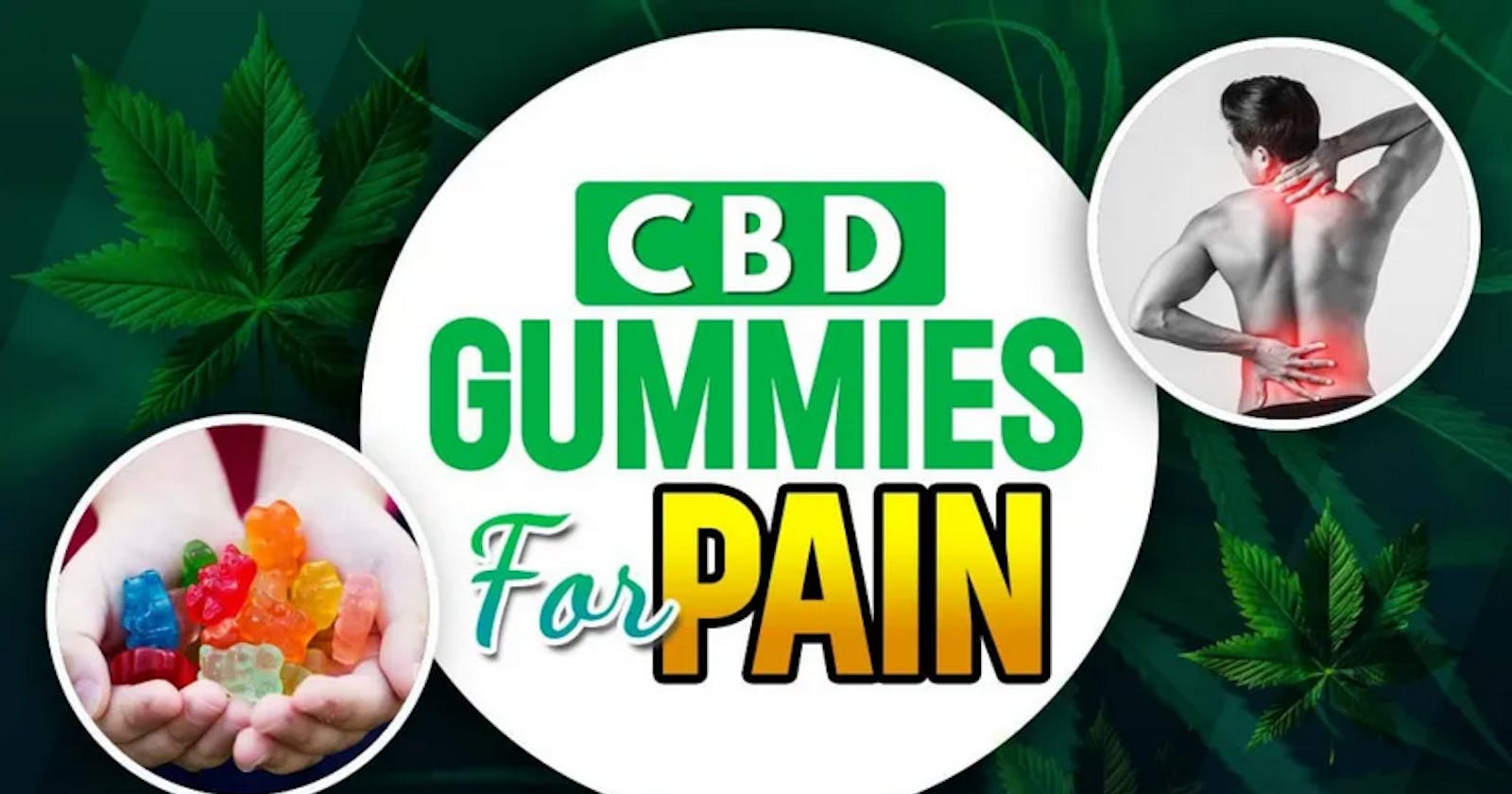 Joint Plus CBD Gummies (DOCTOR EXPOSED 2024 SCAM) Is It Worth?