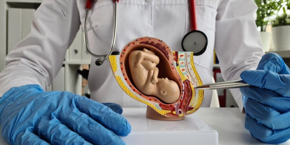 Abortion Methods: Which Option Offers the Safest and Most Secure Choice?