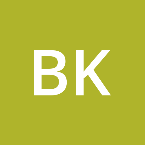Bram Klein