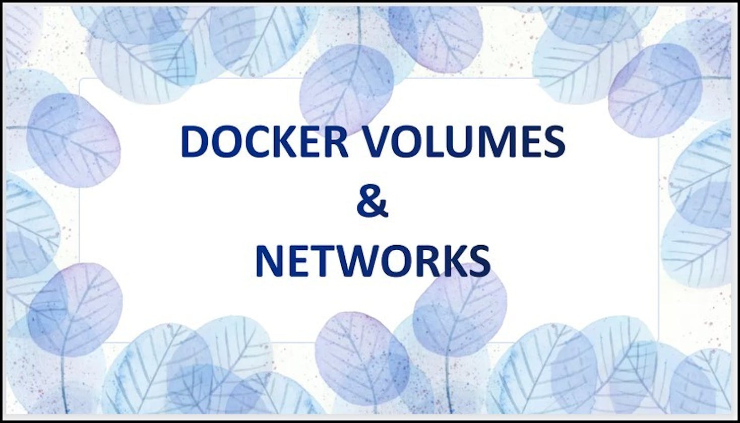 Docker Volumes & Networking