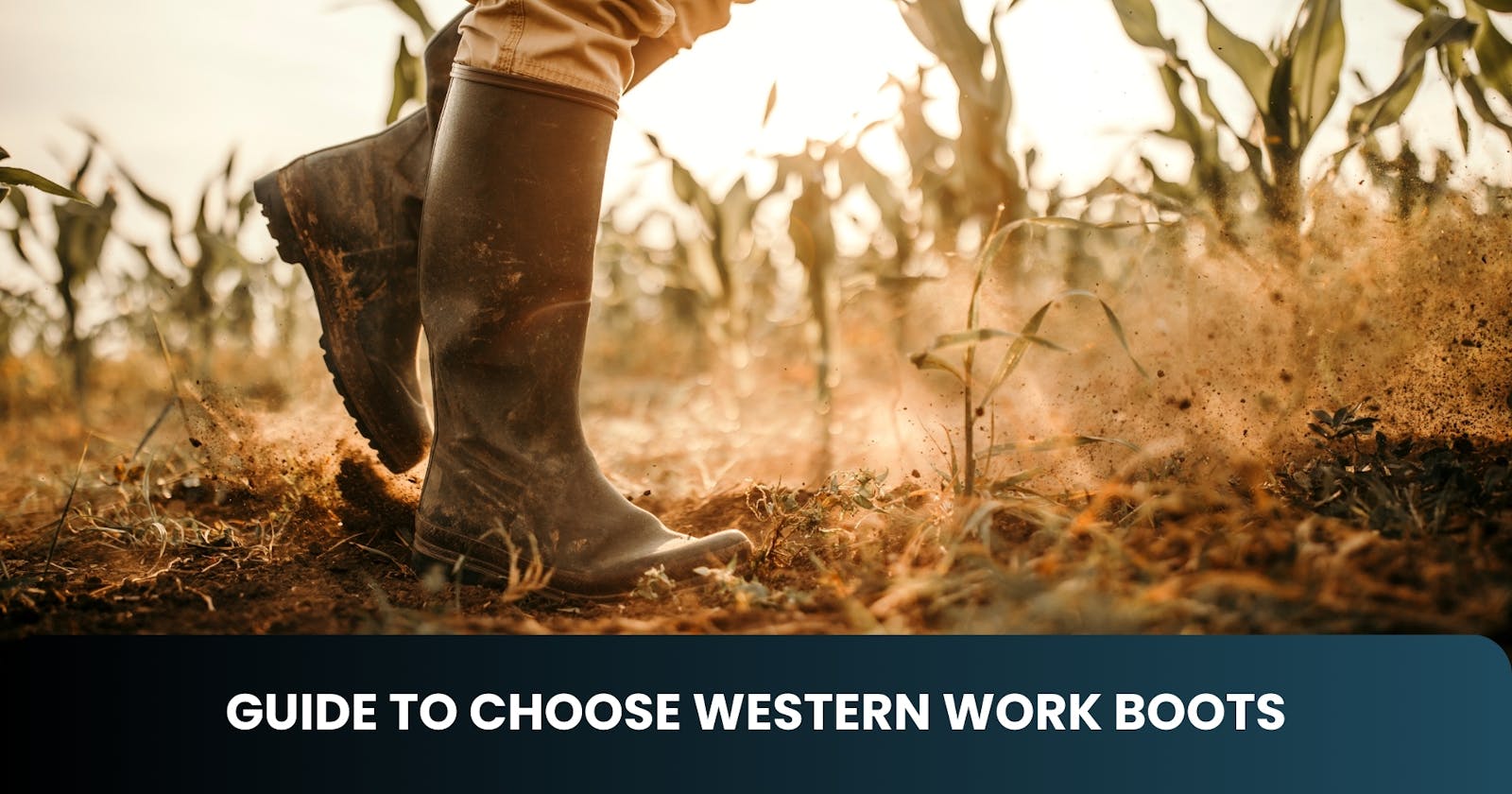 Guide to Choose Western Work Boots
