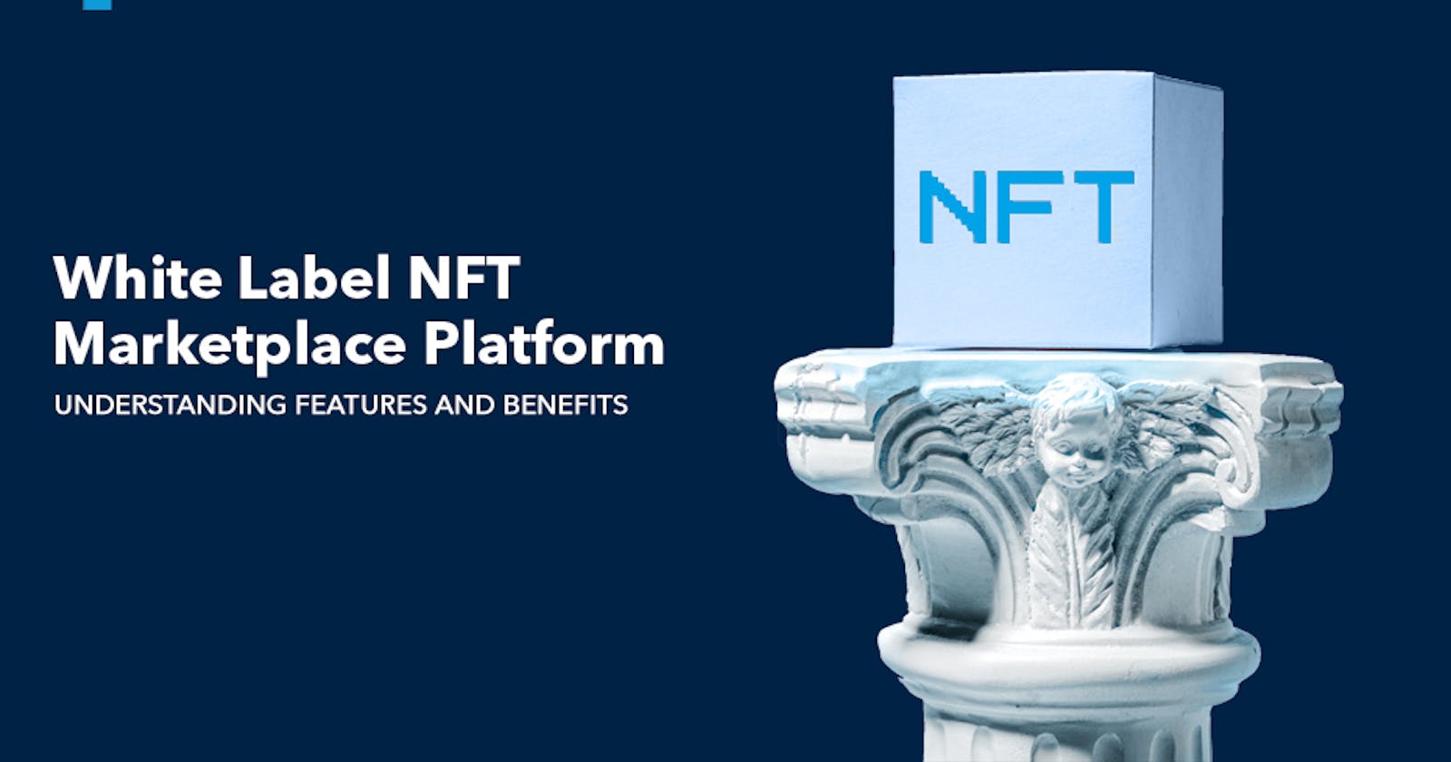 Understanding White Label NFT Marketplace Platform Inside Out