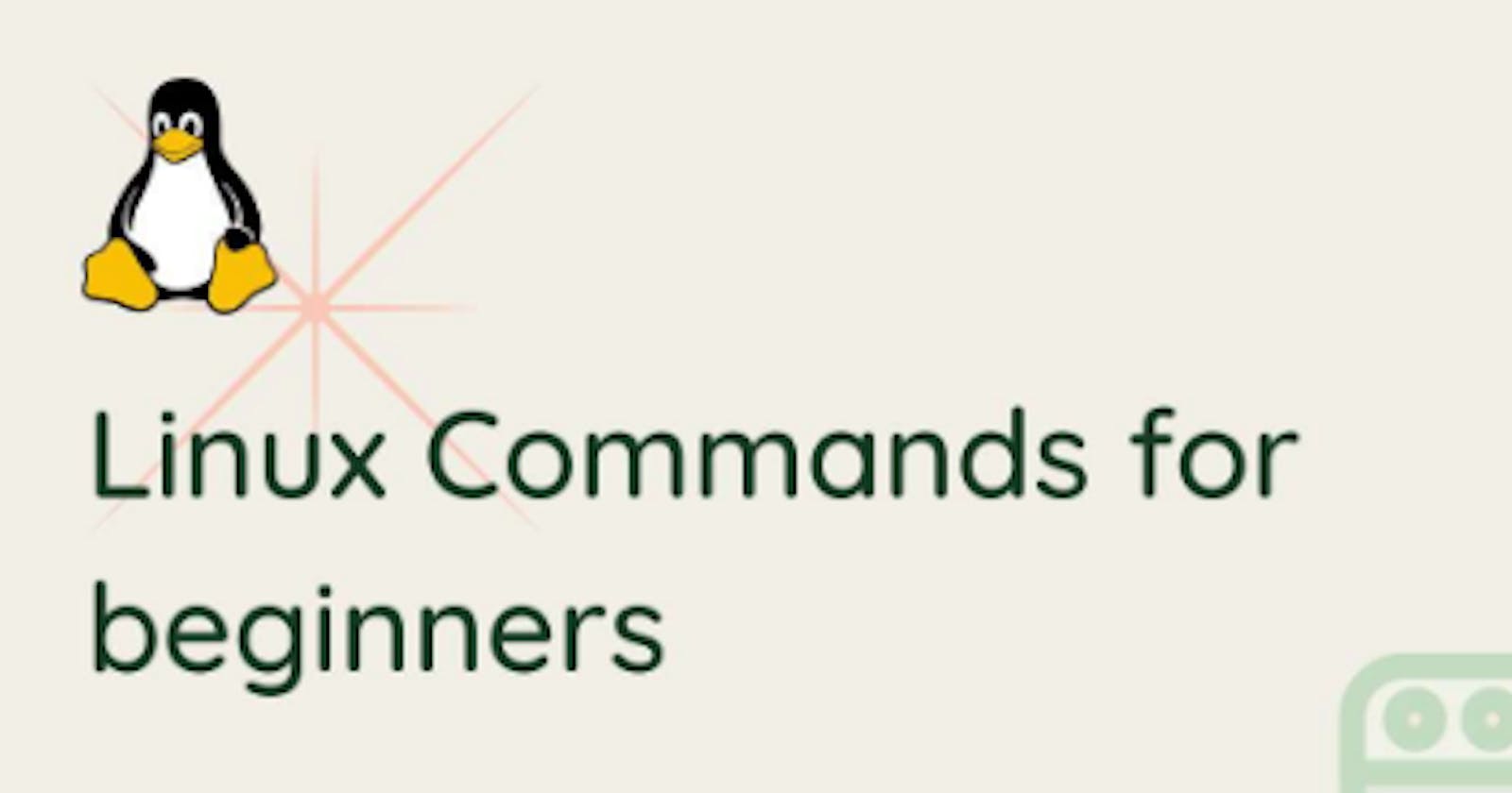 Linux Terminal Fundamentals: A Starter's Guide to Commands