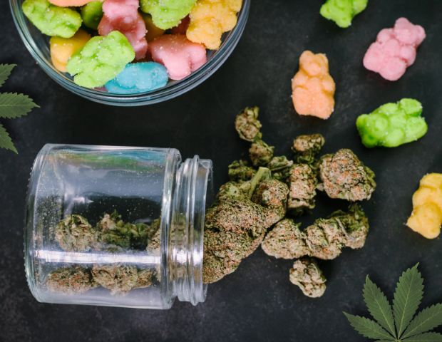 Exploring the Diverse Products Available at Marijuana Stores