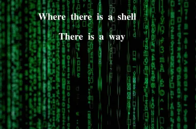 "Mastering Shell Scripting: Simplify Folder Creation, Backup Management, and User Administration"