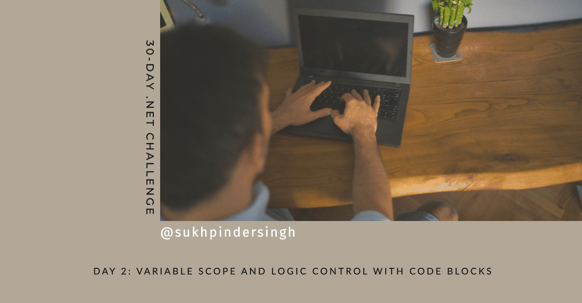 Day 2 of 30-Day .NET Challenge: Variable Scope & Logic Control with Co