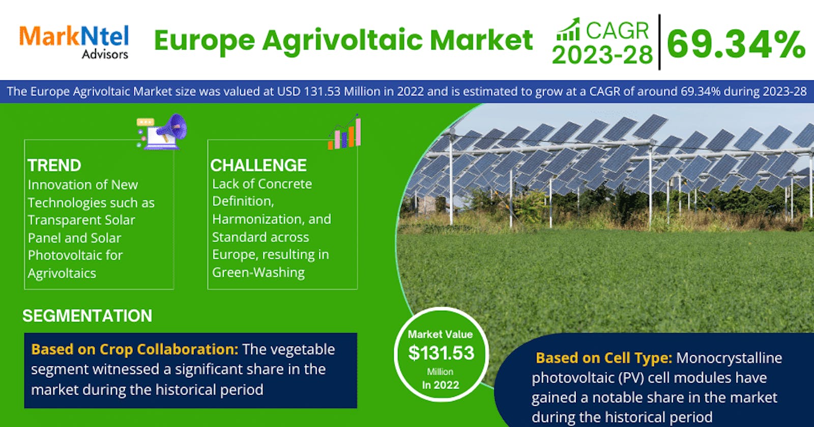 Europe Agrivoltaic Market Share, Size, and Growth Forecast: 69.34% CAGR (2023-28)