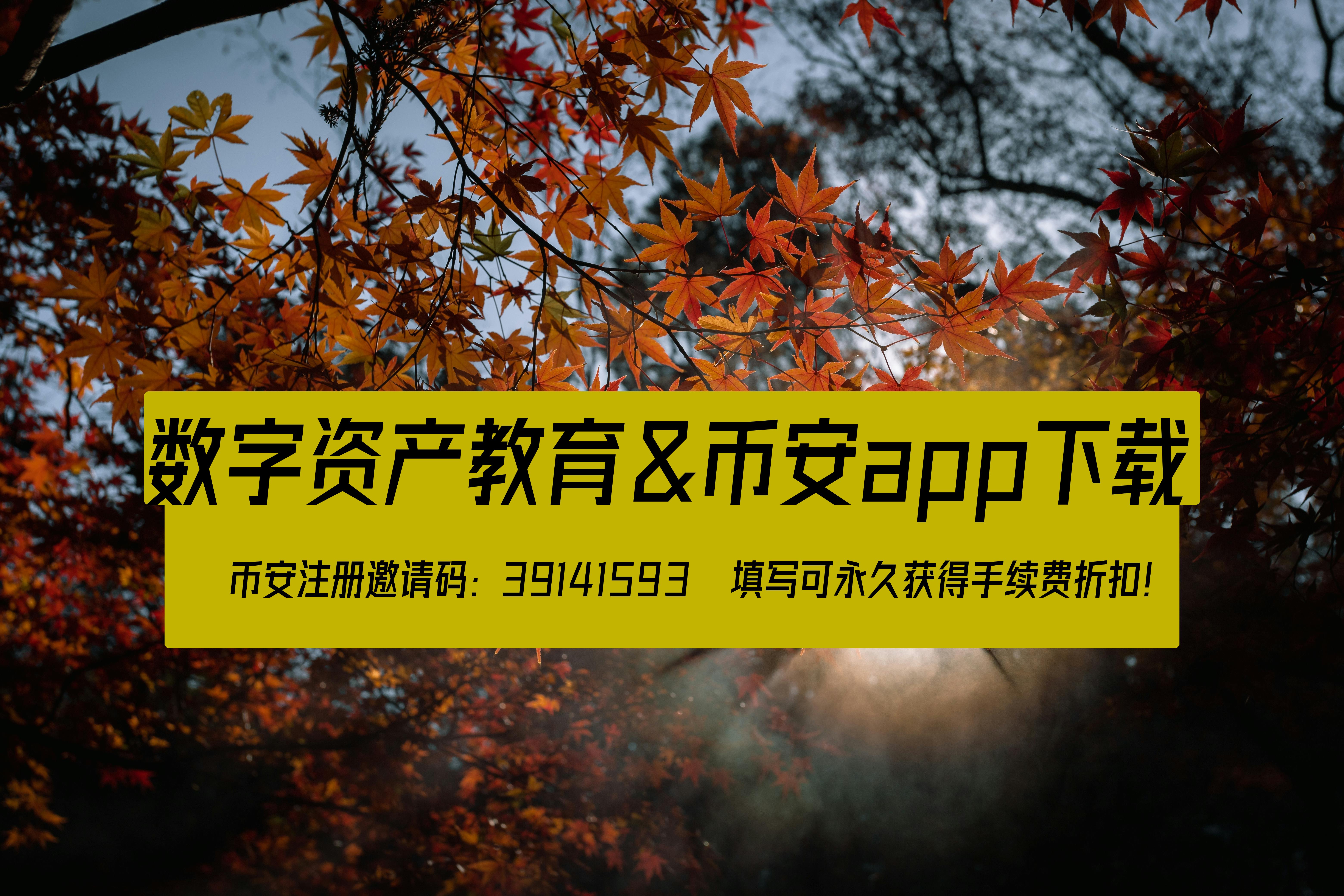 币安学院:新手入门指南,轻松掌握数字资产知识