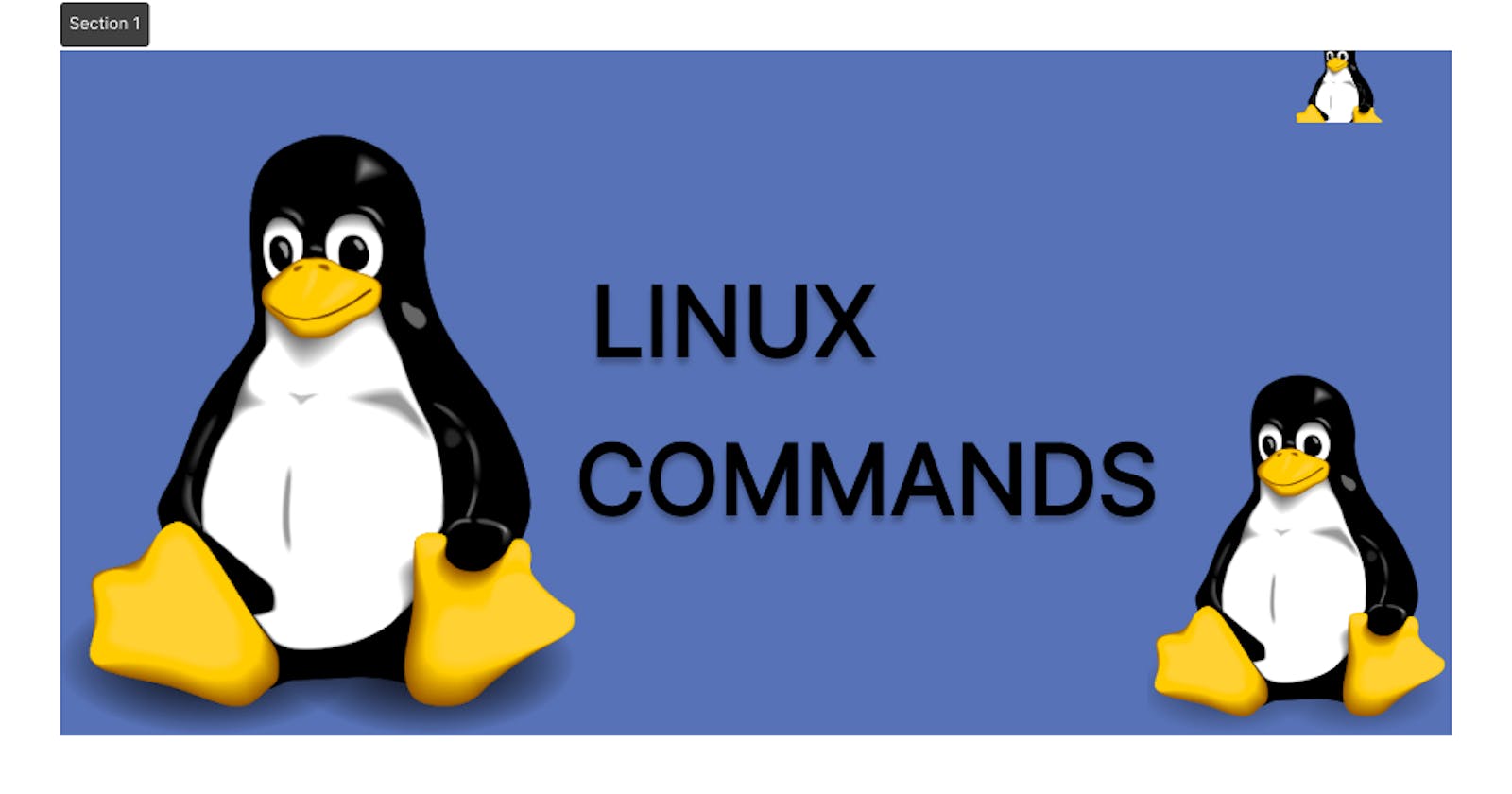 Essential Linux Commands for Beginners