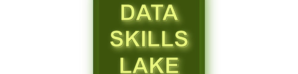 Data Skills Lake