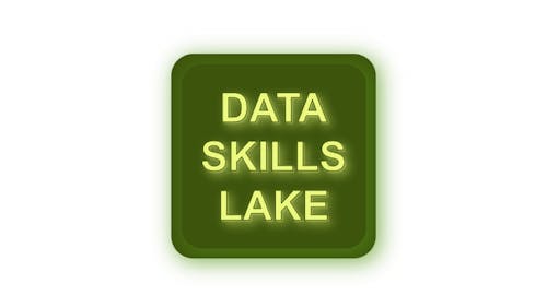 Data Skills Lake