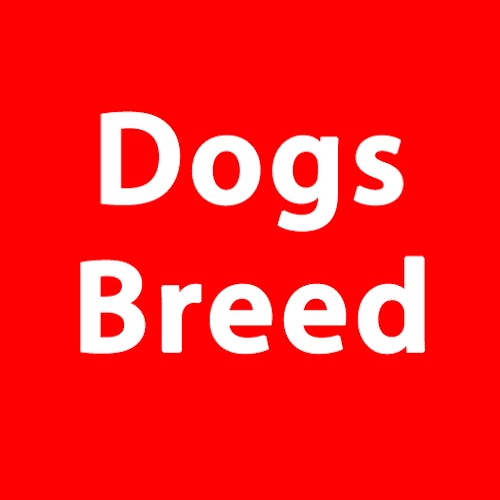 Dog Breed Org's blog