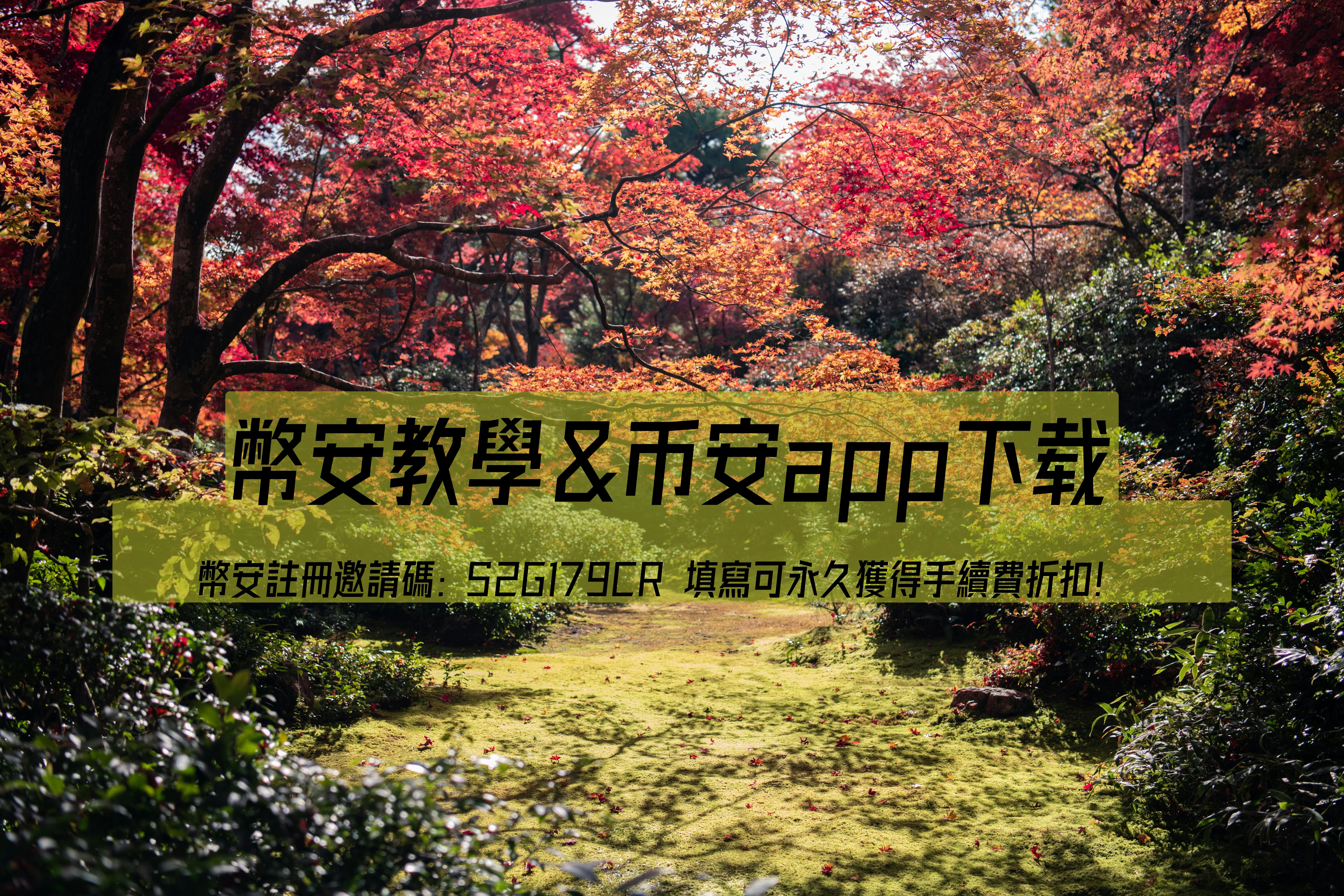 幣安神盾與幣安iPad版教學：新手必看的完整指南