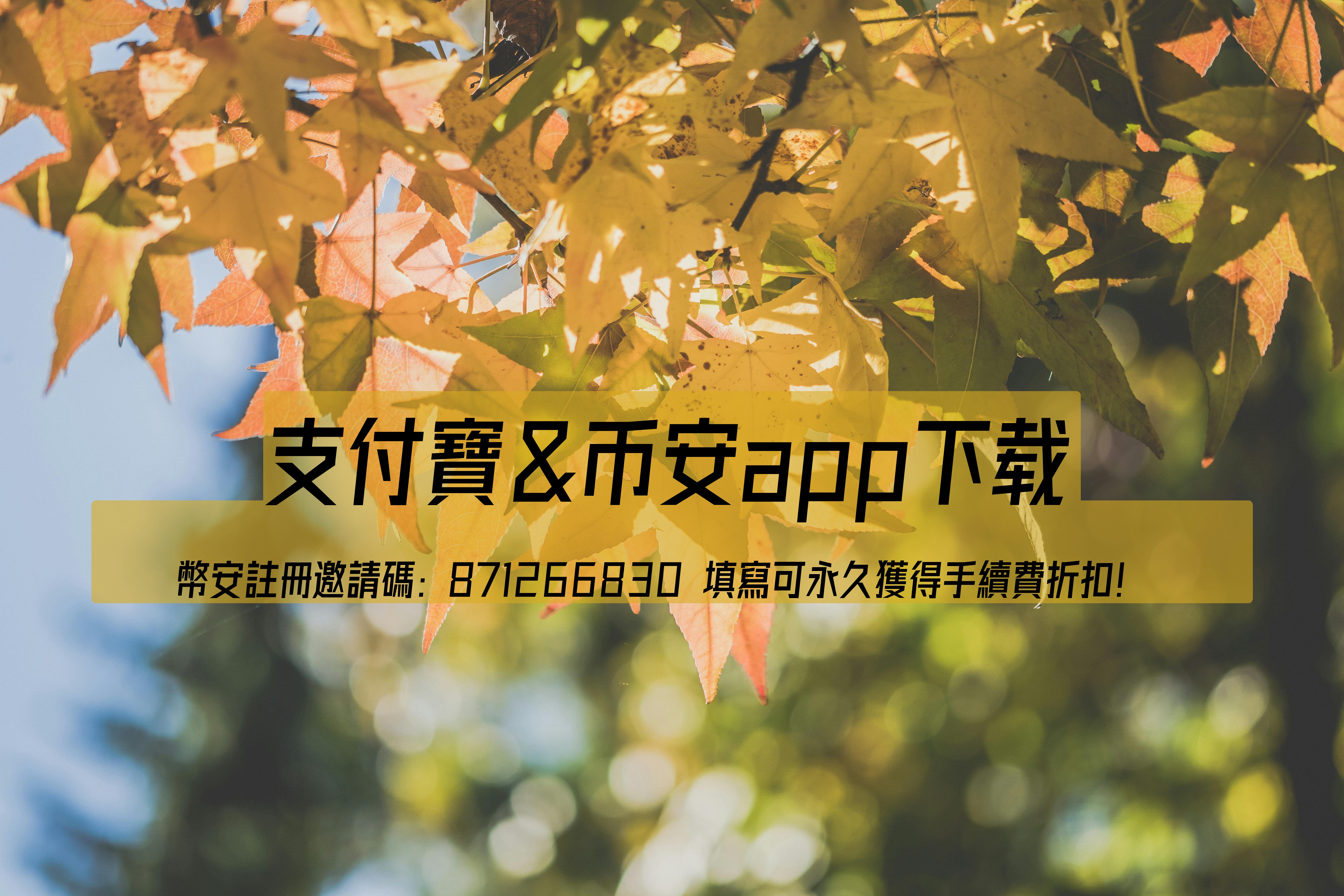 幣安入門指南：支援多種加密貨幣交易，支付寶入金免手續費