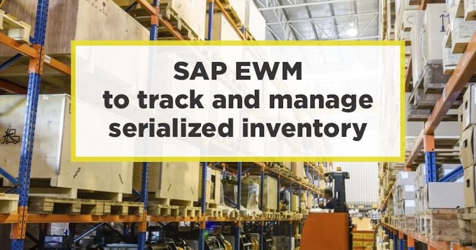 How to use SAP EWM to track and manage serialized inventory?