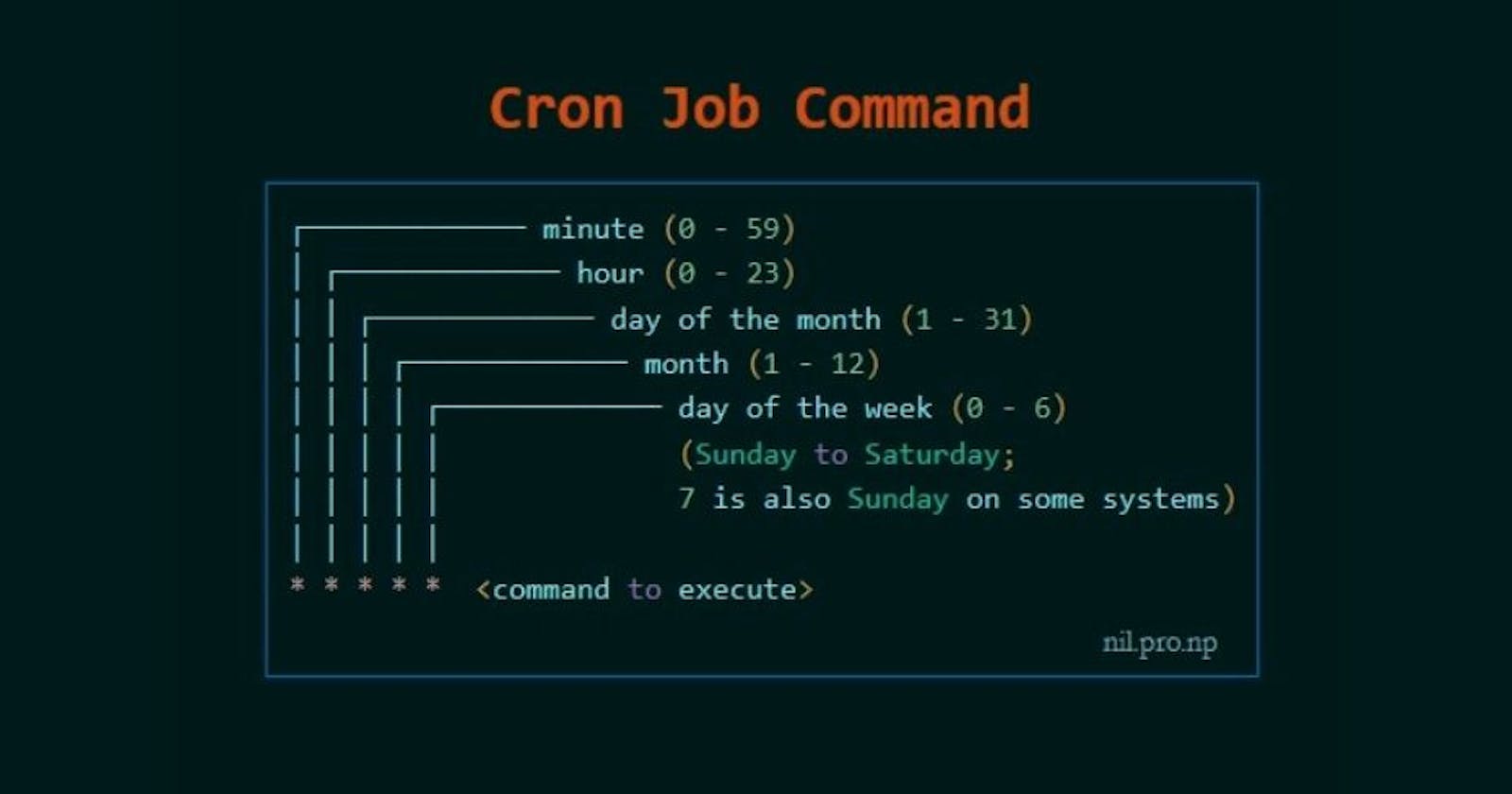 Step by Step guide for Cron Jobs