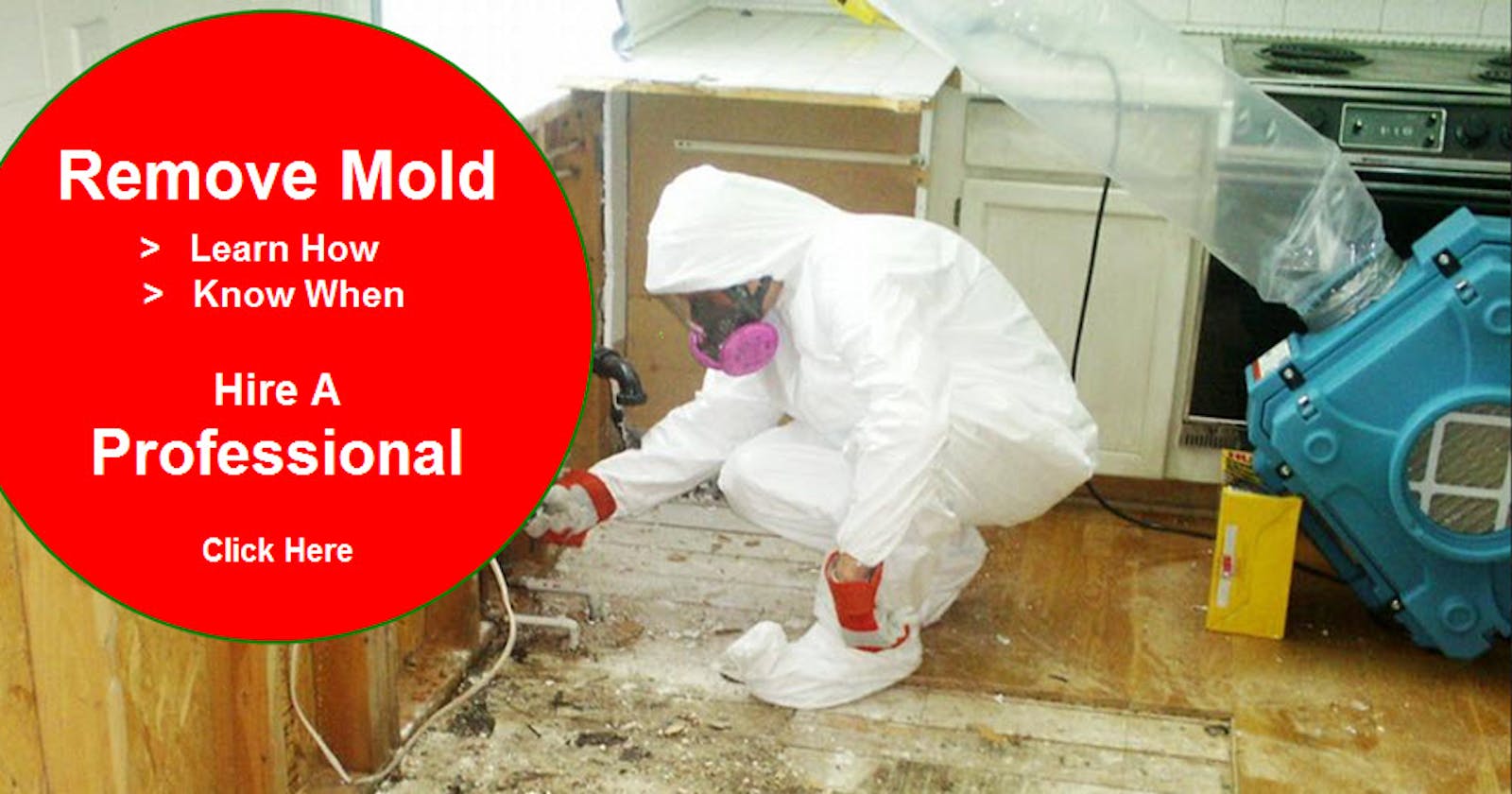 Ensuring Safe and Healthy Environments: Mold Removal Los Angeles Services