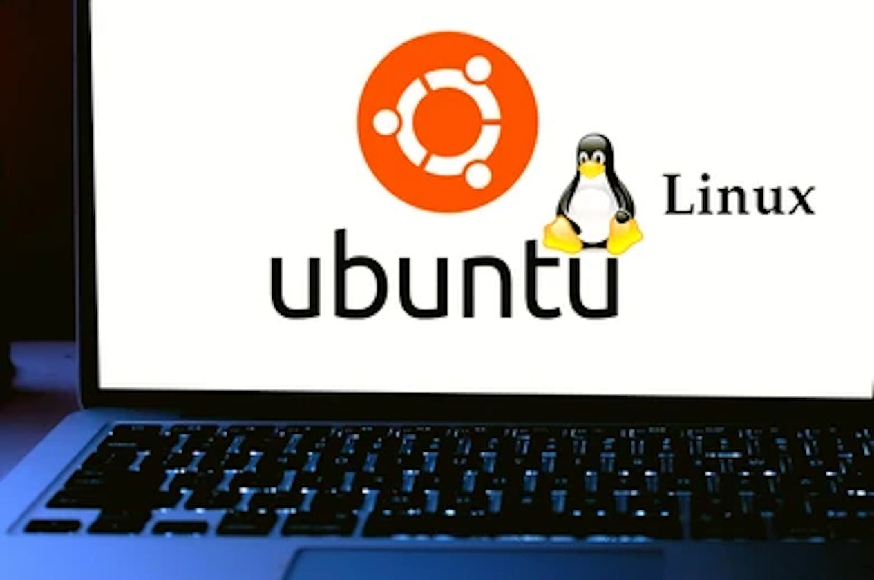 Basics Linux Commands, 
Part 2
