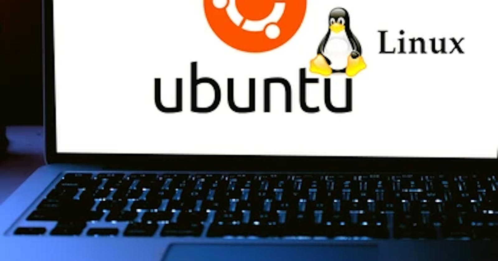 Basic Linux Commands