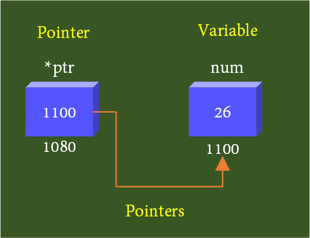 Pointer Basics