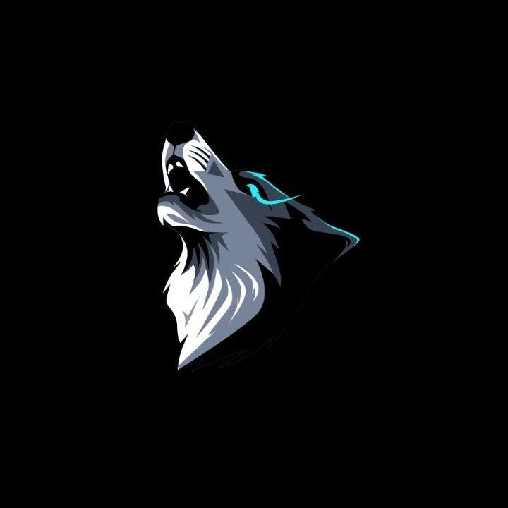 LoneDevWolf ~ 🚀🍵