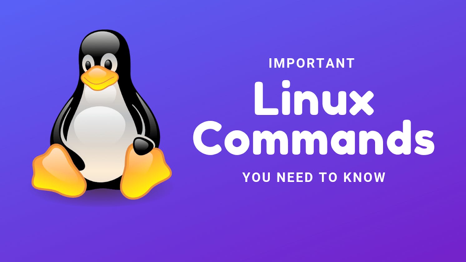 🌟 Day 3 - Basics of Linux Commands 🖥️👩‍💻