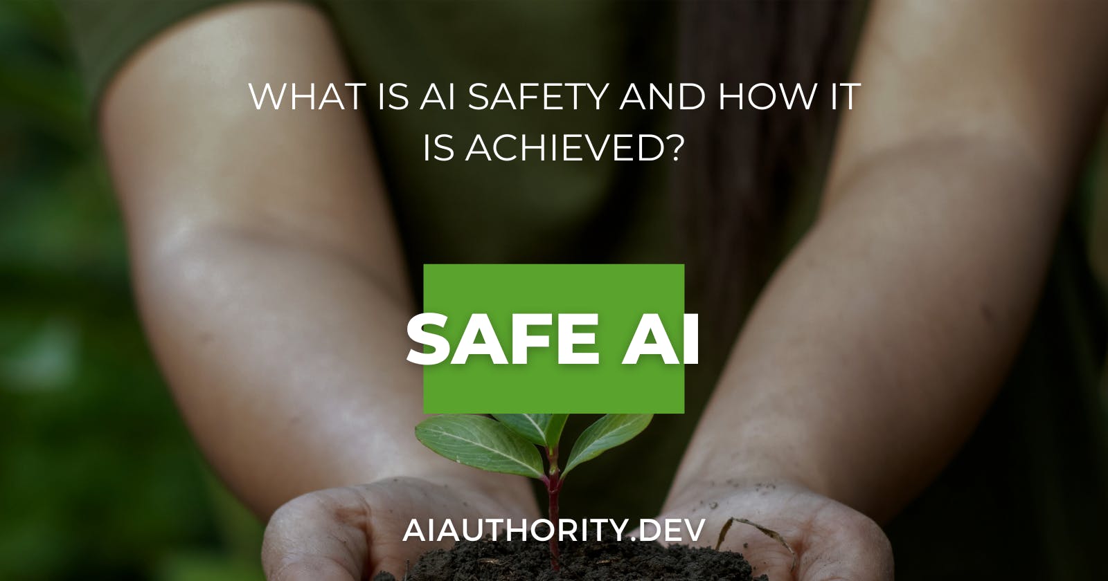 What is AI Safety and How It is Achieved?