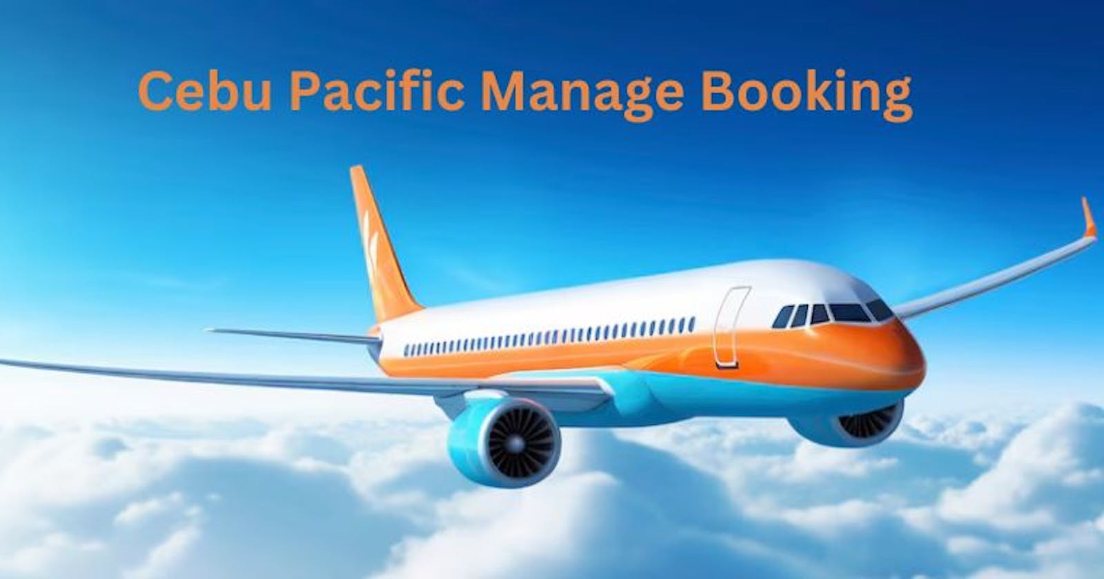 Explore the Cebu Pacific Manage Booking