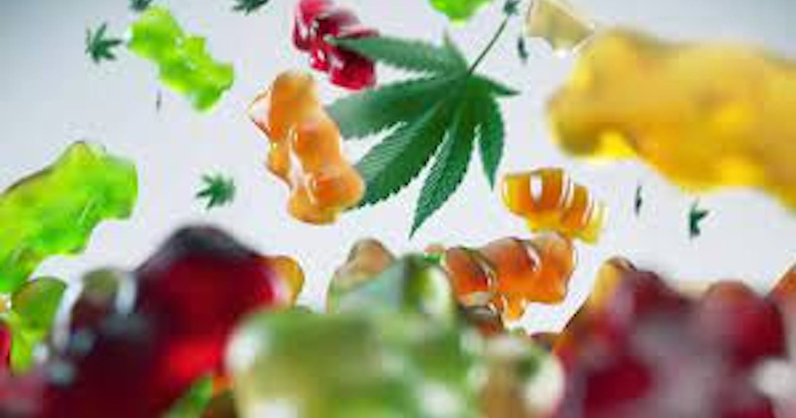 Canna Organic Green CBD Gummies Review: Scam or Should You Buy?