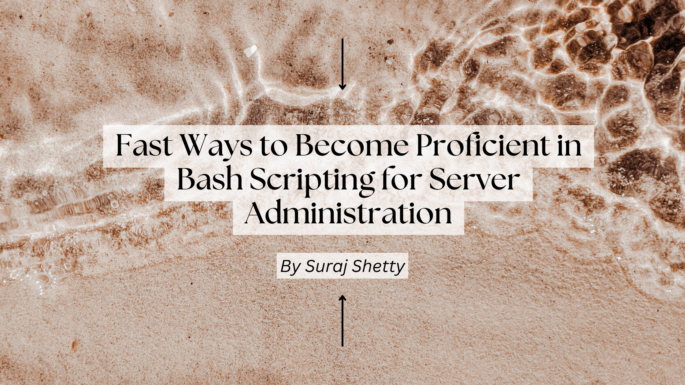 Fast Ways to Become Proficient in Bash Scripting for Server Administration