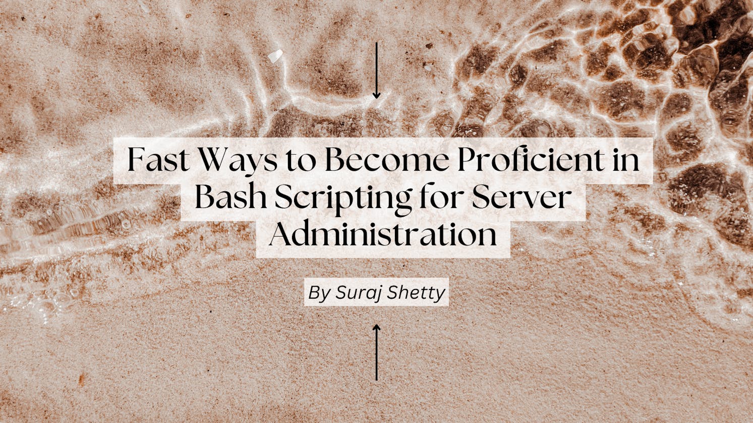 Fast Ways to Become Proficient in Bash Scripting for Server Administration