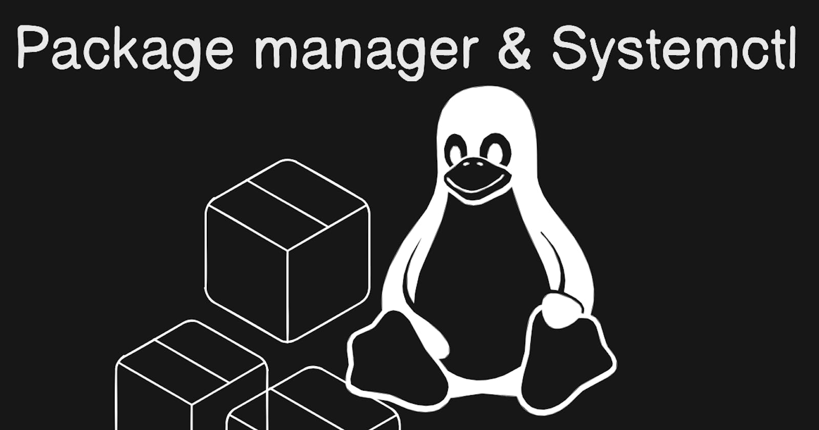 Day 7  Task
Understanding package manager and systemctl