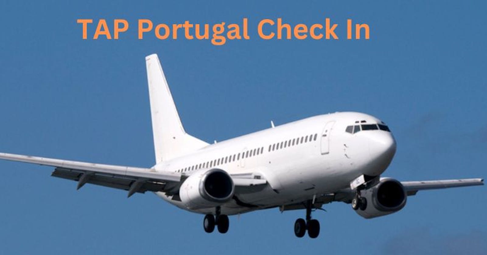 A Guide to the TAP Portugal Check In