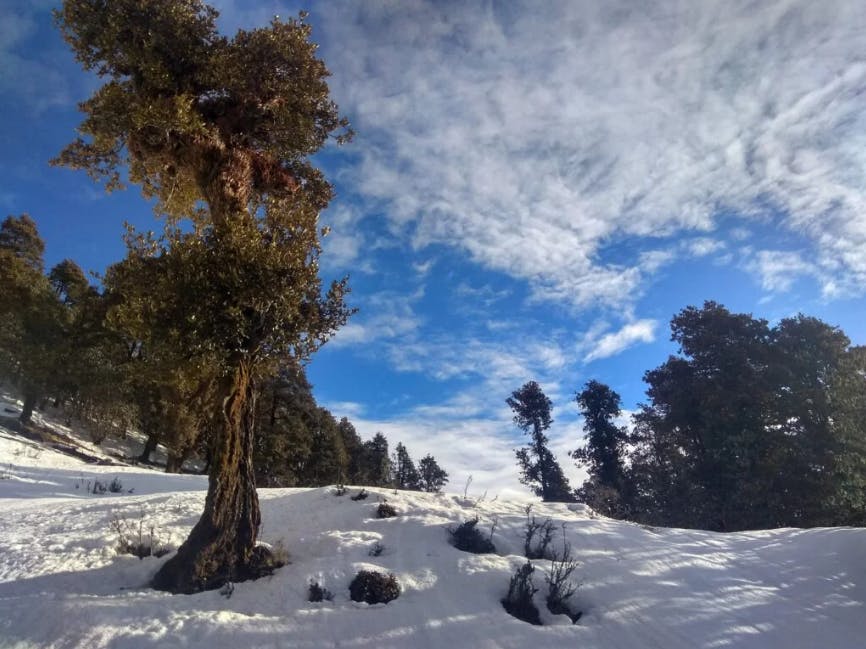 Brahmatal Trek