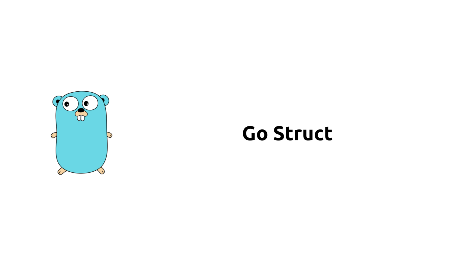 Go Struct