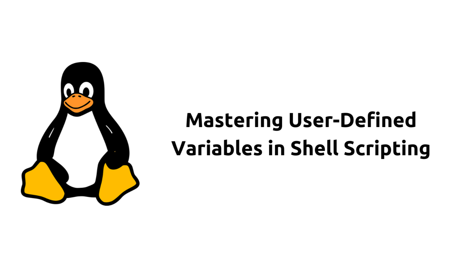 Mastering User-Defined Variables in Shell Scripting