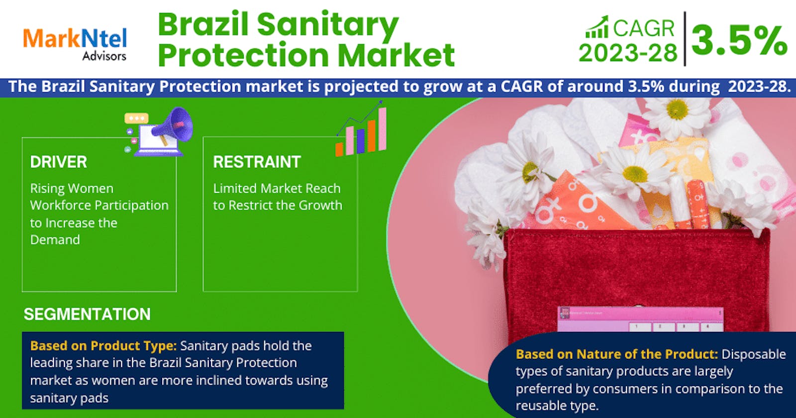 Brazil Sanitary Protection Market Forecasts 3.5% CAGR Growth Through 2028