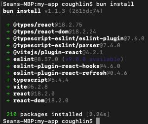 Terminal output for downloading dependencies with Bun