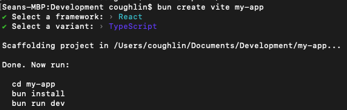 Terminal output for starting up an app with Bun and templates