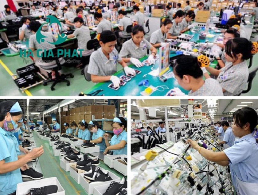 Thị trường lao động tại tỉnh Long An khởi sắc trong năm 2024