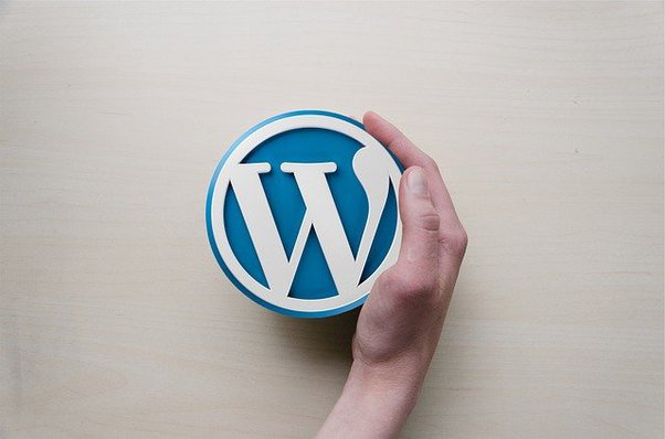 Hire the Best WordPress Developers: Tips & Tricks