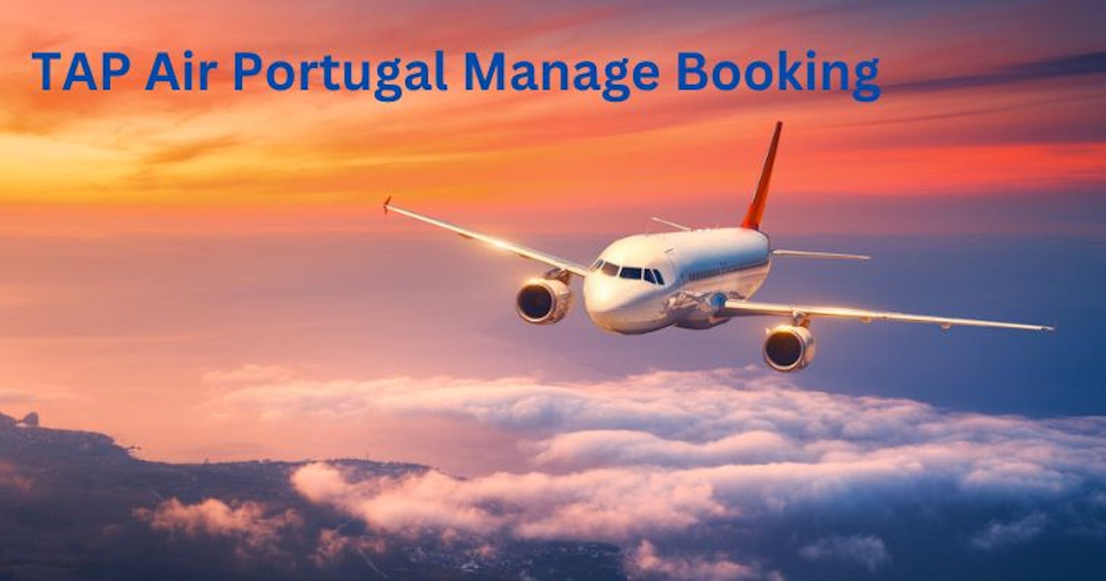 How to Manage Your TAP Air Portugal Booking?
