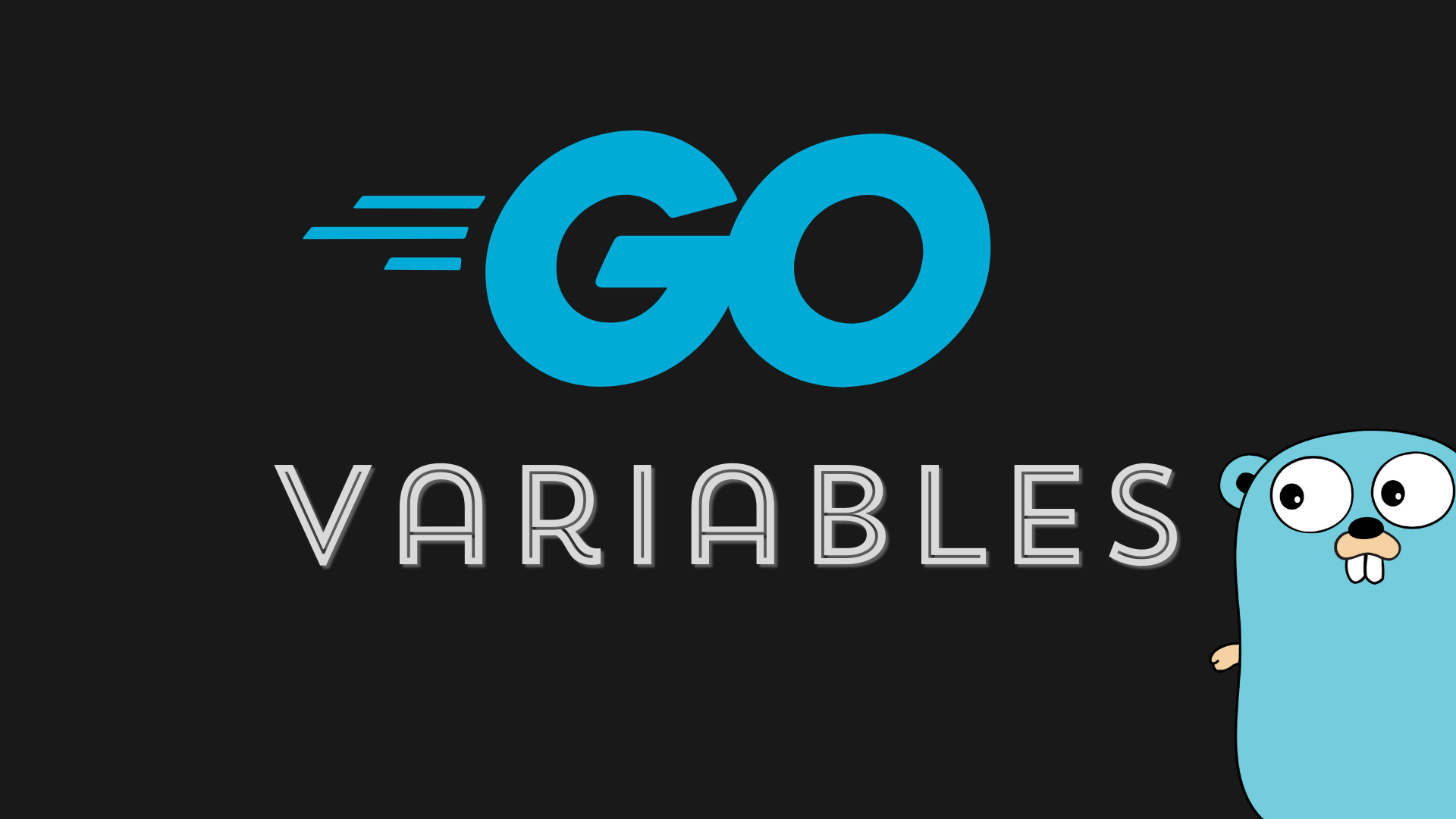 I Bet You Don't Know Variables In Golang (Go Programming)!