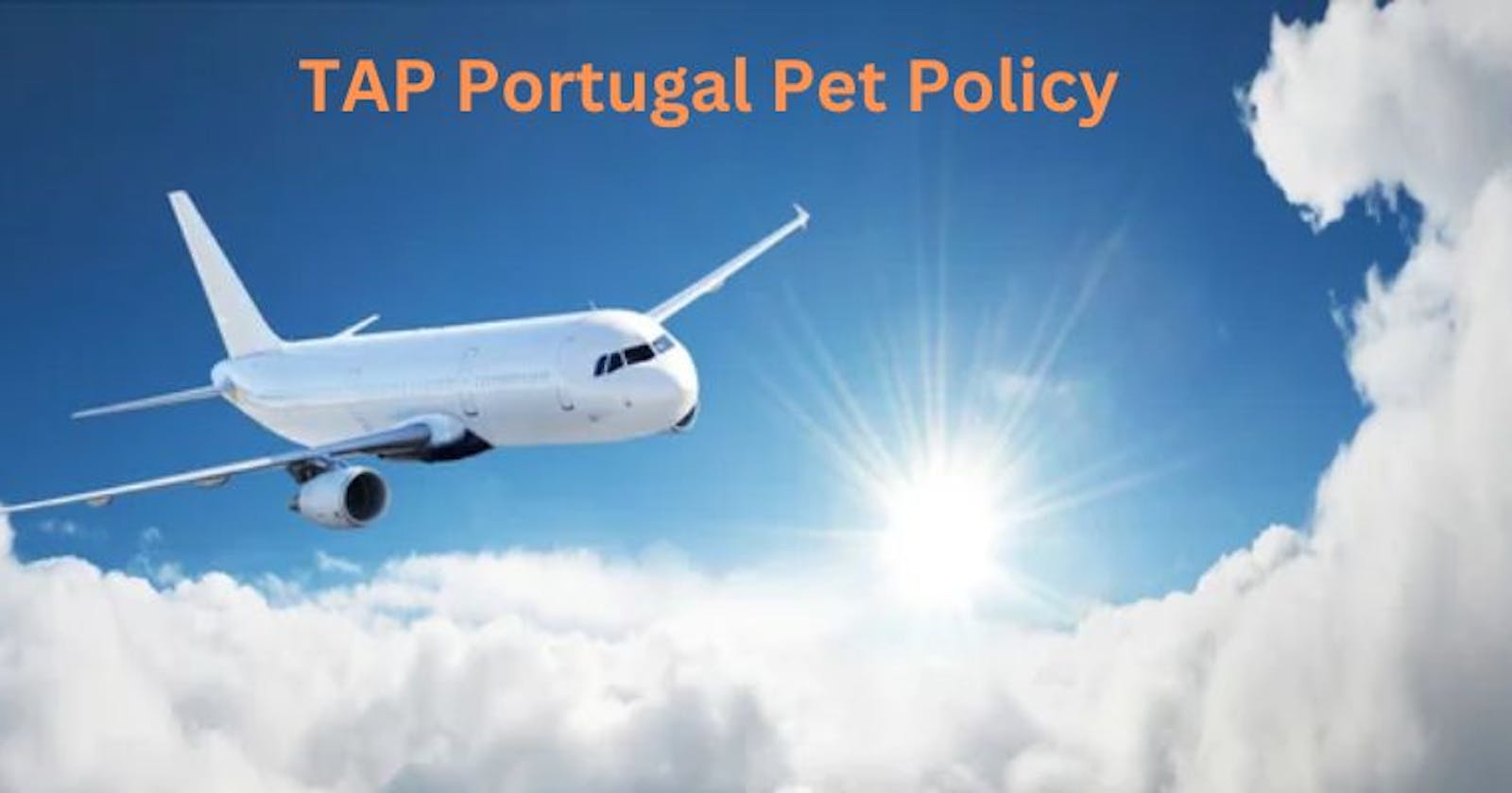 Does TAP Air Portugal Allow Pets?